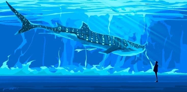 Whale Shark — Faça sua cotação